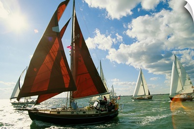 Red-sailed sailboat and others in a race on the Chesapeake Bay.; Chesapeake Bay, Virginia.