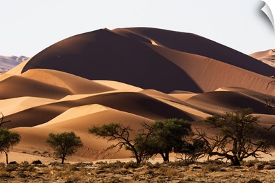 Red Sand Dunes In Sossusvlei, Namib Desert, Namibia