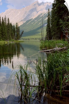 Reflections On Beaver Lake, Jasper National Park, Alberta, Canada