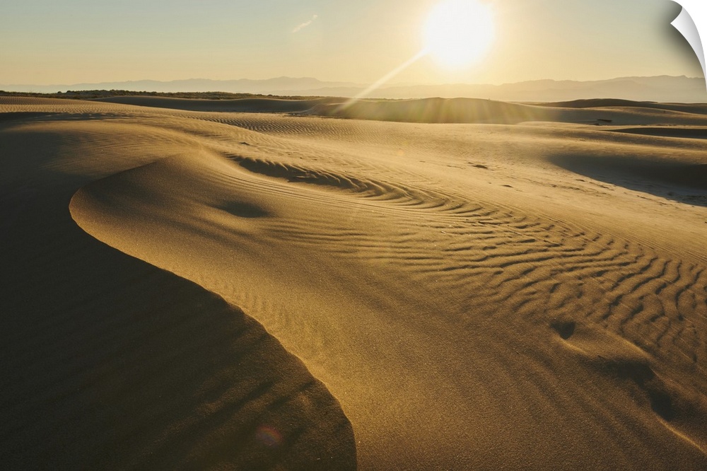 Rippled sand dunes in sunset light, Ebro River delta, Catalonia, Spain.