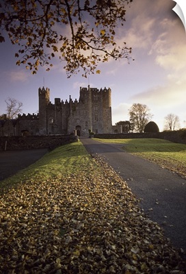 Road Leading To Kilkea Castle At Sundown, County Kildare, Ireland