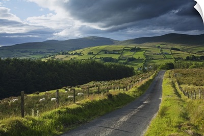 Road Through Glenelly Valley, County Tyrone, Northern Ireland
