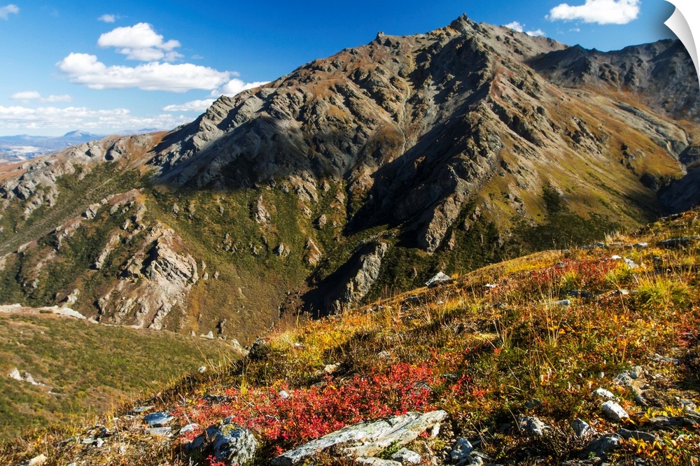 Landscape in the rocky high country of Denali National Park and Preserve, interior Alaska, Alaska, United States of America.
