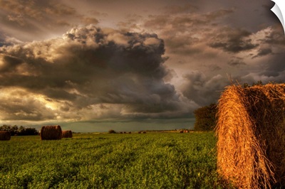 Rolled Hay Bales Under Storm Clouds, Alberta, Canada