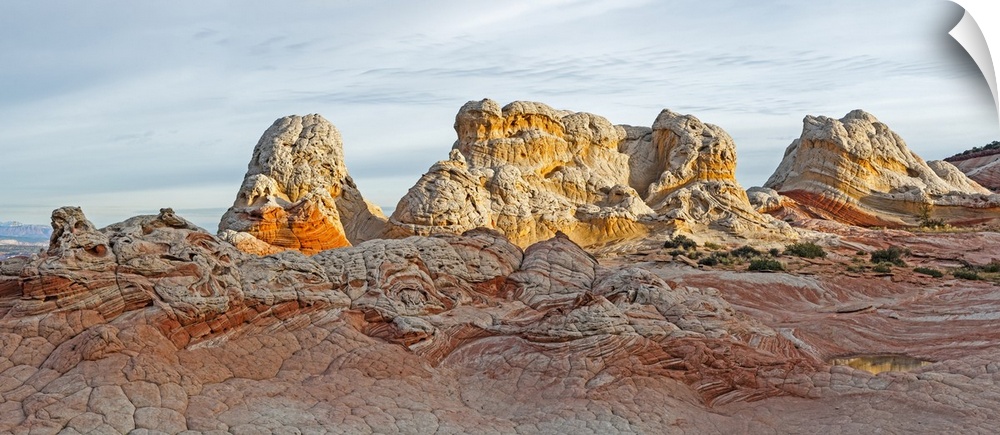 Rugged rock formations in the early morning; White Pocket, Utah, United States of America