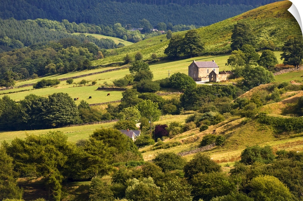 Rural Landscape, Yorkshire, England