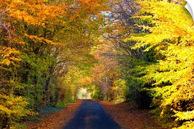 Rural Road, Argyll And Bute, Scotland