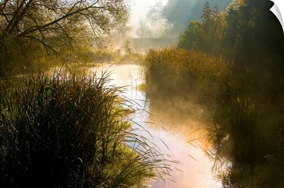 Scanlon Creek Conservation Area, Bradford, Ontario, Canada