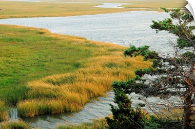 Scenic view of a salt marsh in the Cape Cod National Seashore.; Cape Cod National Seashore, Eastham, Massachusetts.