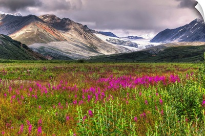 Scenic view of Gulkana Glacier from the Richardson Highway with fireweed in foreground
