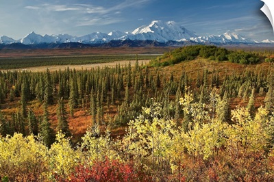 Scenic view of Mt. McKinley and the Alaska Range with taiga and Fall colors
