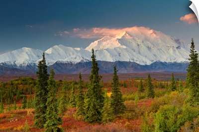 Scenic view of Mt. McKinley at sunrise with colorful tundra and boreal forest