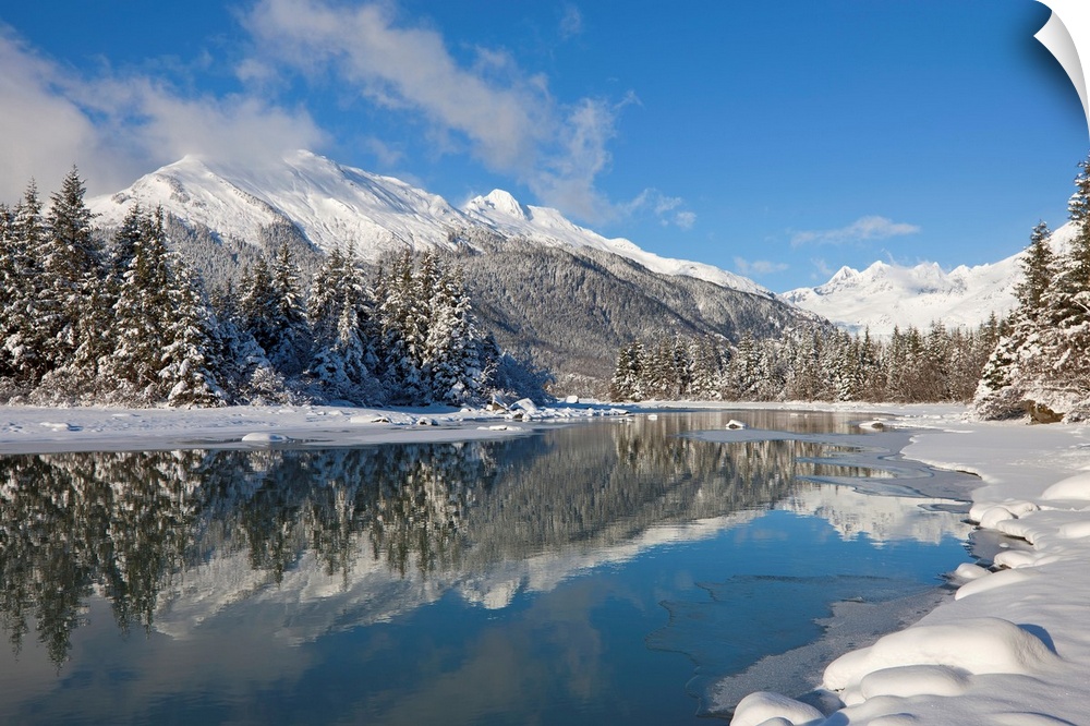A snowy winter wonderland awaits along the Mendenhall River, Mendenhall Glacier and Towers in the distance, Tongass Forest...