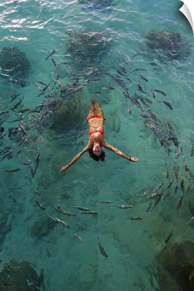 School Of Fish Encircling Woman Floating In Tropical Ocean Water