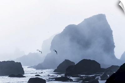 Sea Stacks Are Silhouetted Against Fog At Ecola State Park, Cannon Beach, Oregon