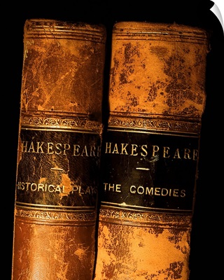 Shakespeare Leather Bound Books
