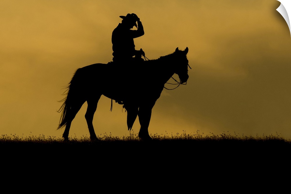 Silhouette of a cowboy on a horse against a sky of golden cloud at sunset; Montana, United States of America.