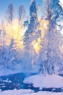 Small stream in a hoarfrost covered forest with rays of sun filtering through the fog