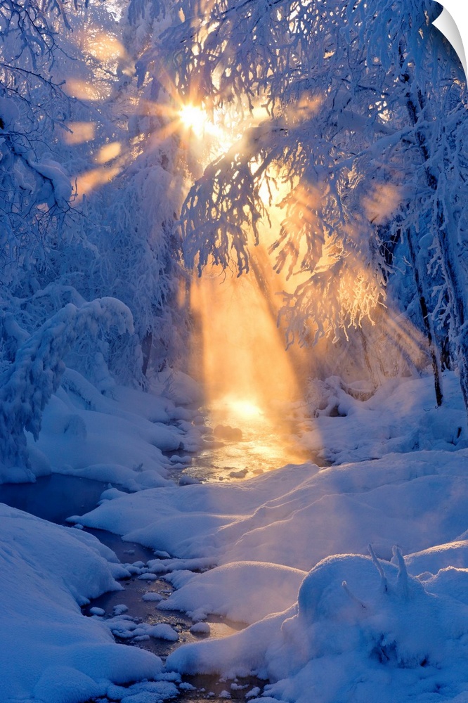 Photo of the rays of sun filtering through the fog next to a small stream flowing through a hoarfrost covered forest, wint...