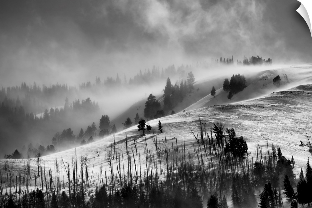 Black and white landscape in Yellowstone National Park with low cloud and snow blowing over Specimen Ridge and Lamar Valle...