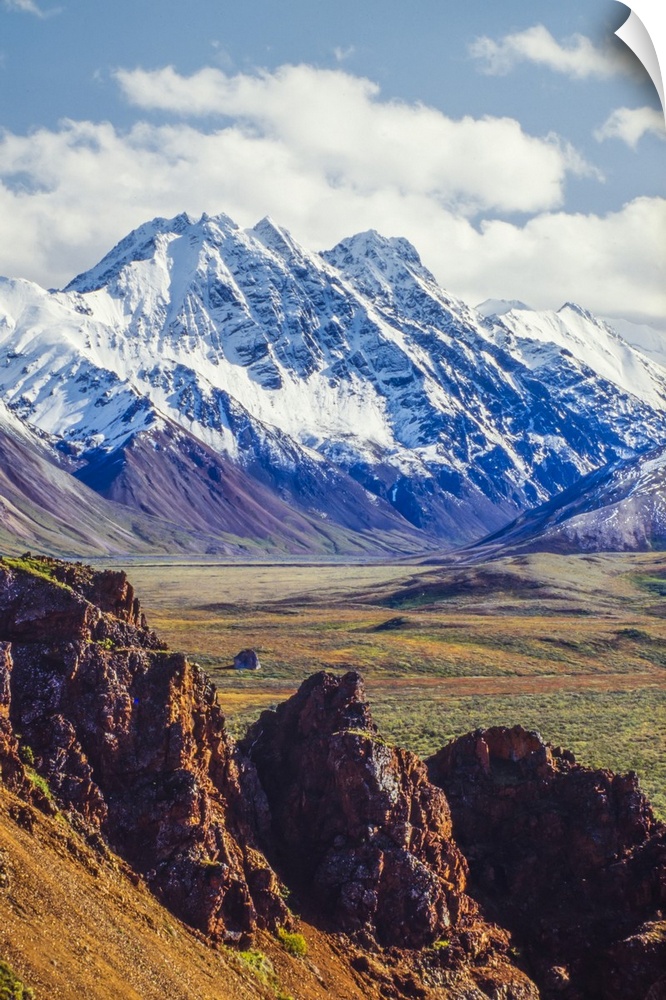 Snow covered Denali with rocky cliffs and colorful foliage on the tundra in Denali National Park Alaska, United States of ...