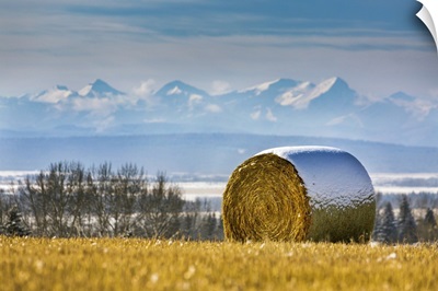 Snow-Covered Hay Bale, West Of Calgary, Alberta, Canada