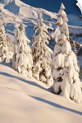 Snow Covering A Mountain And Trees In Winter On Mount Hood In The Oregon Cascades