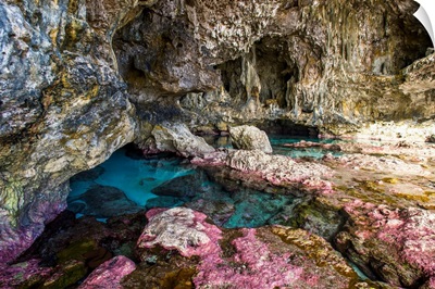Soft corals decorate the ocean caves that line the Nuie coastline, Niue