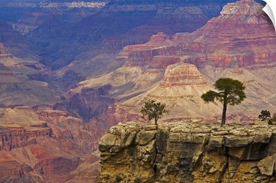 South Rim Of Grand Canyon, Arizona, Elevated View