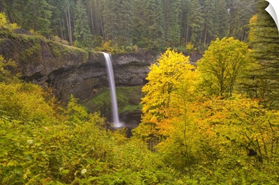 South Silver Falls In The Autumn In Silver Falls State Park, Oregon
