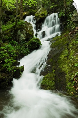 Spring Foliage And A Seasonal Waterfall In The Great Smoky Mountains National Park