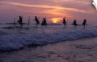 Stilt Fishermen Silhouetted At Sunset; Sri Lanka, Asia