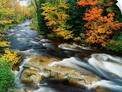 Stream Flowing Through Forest In Vermont