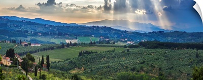 Sunbeams through the clouds over vineyards, Capanuccia, Florence, Italy