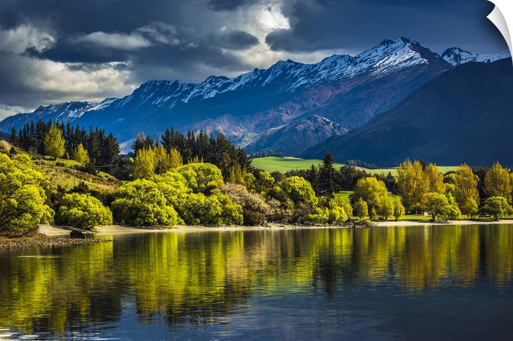 Sunlit trees along the lake shore with moutain range at Glendhu Bay in the Otago Region of New Zealand