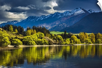 Sunlit Trees Along The Lake Shore With Moutain Range At Glendhu Bay, New Zealand