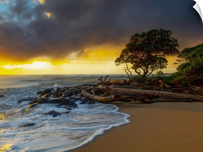 Sunrise On Hawaiian Shore, Kauai, Hawaii