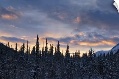 Sunset Colors The Sky After A Cold Winter Day, Whitehorse, Yukon, Canada
