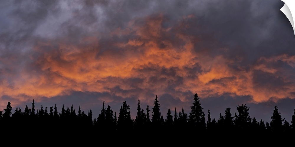 Incredible sunset over the trees in Whitehorse, Yukon