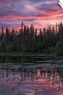 Sunset over a small beaver pond along the Yellowhead Highway near Smithers, Canada
