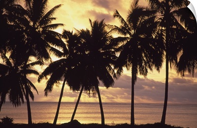 Sunset (Palm Trees In Silhouette), Aitutaki, Cook Islands