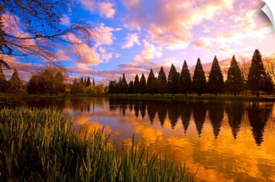 Sunset Reflection On A Pond, Portland, Oregon
