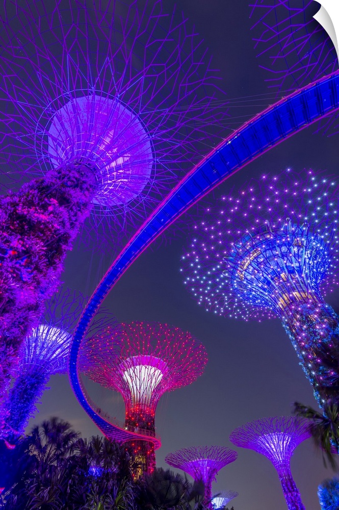Supertrees of Gardens by the Bay with illuminated sweeping high level walkway.