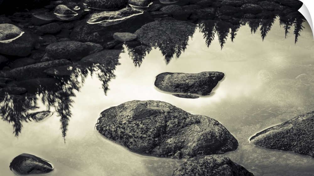 Surface of rocks in clear, shallow water and the reflection of trees from the shoreline, British Columbia, Canada.