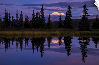 Tall Trees Reflected In A Pond With Mt. Mckinley In The Distance