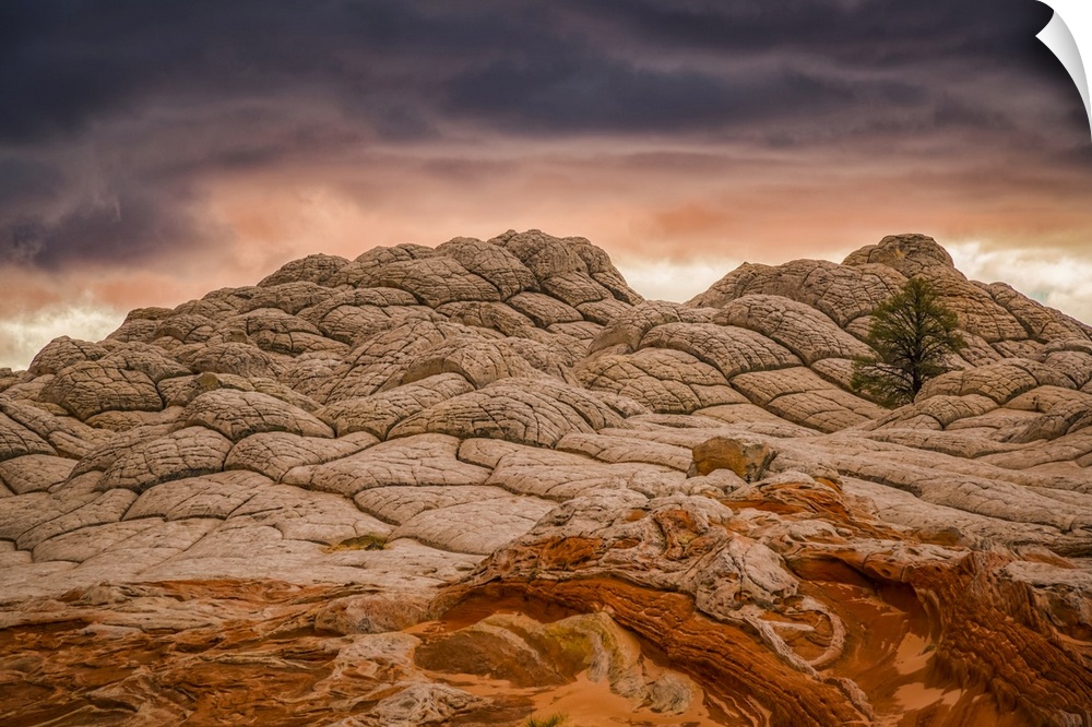 The amazing sandstone and rock formations of White Pocket; Arizona, United States of America
