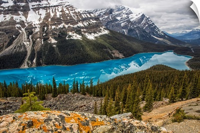 The aquamarine waters of Peyto Lake, Banff National Park, Alberta, Canada