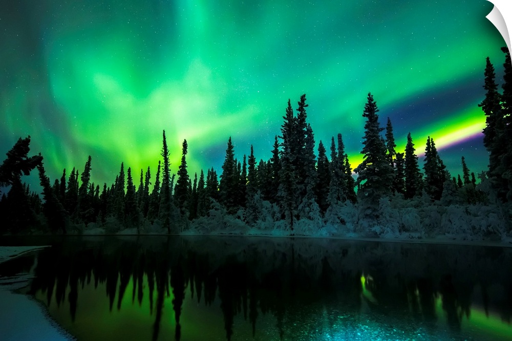 The aurora reflects in the Clearwater River in Delta Junction; Alaska, United States of America