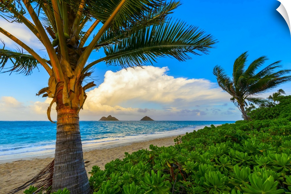 The golden sand and surf on Lanikai Beach with a view of the Mokulua Islands off the coast at sunrise; Oahu, Hawaii, Unite...