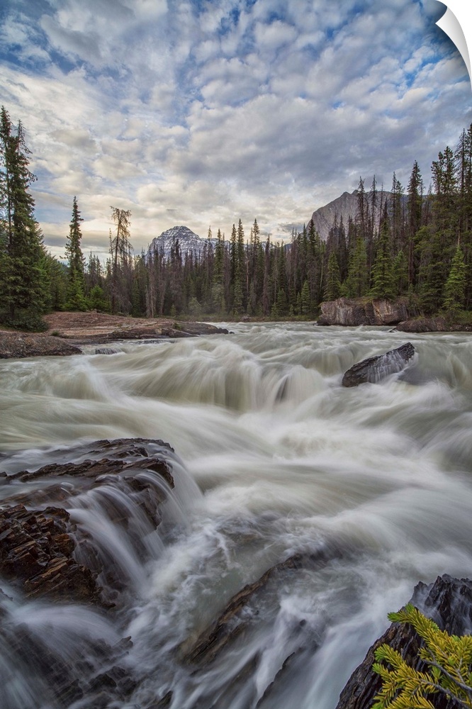 The Kicking Horse River flows over a waterfall before it goes beneath a natural bridge, Yoho National Park, Canada.